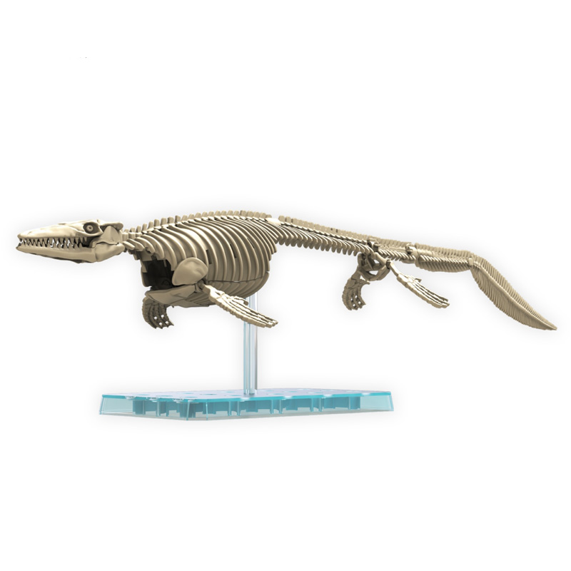 Dinosaure Plastic Model Kit Plannosaurus Mosasaurus